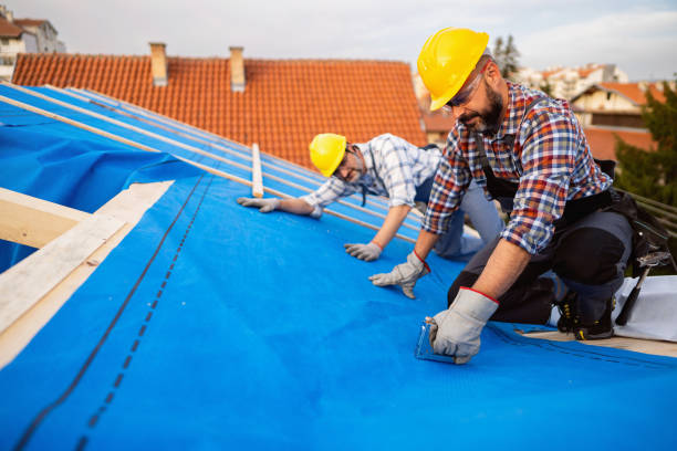 Best Metal Roofing Contractor  in Citrus Park, FL