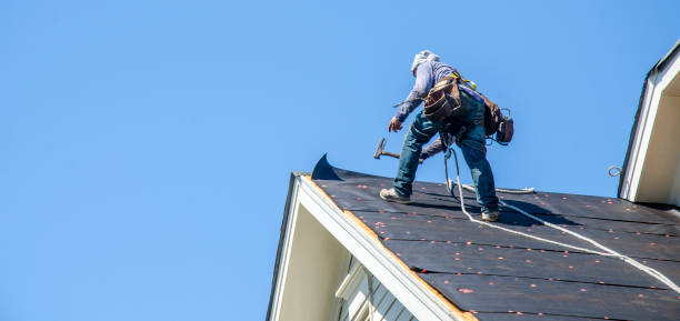 Best Residential Roofing Contractor  in Citrus Park, FL